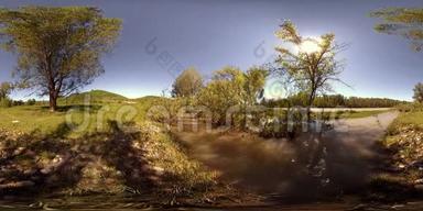 在美丽的山林景观中，河流在岩石上流动的虚拟现实